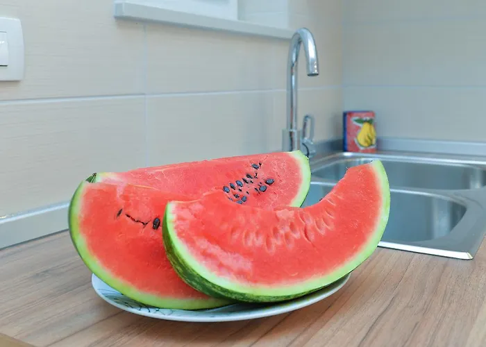 Apartman Olivera 1726